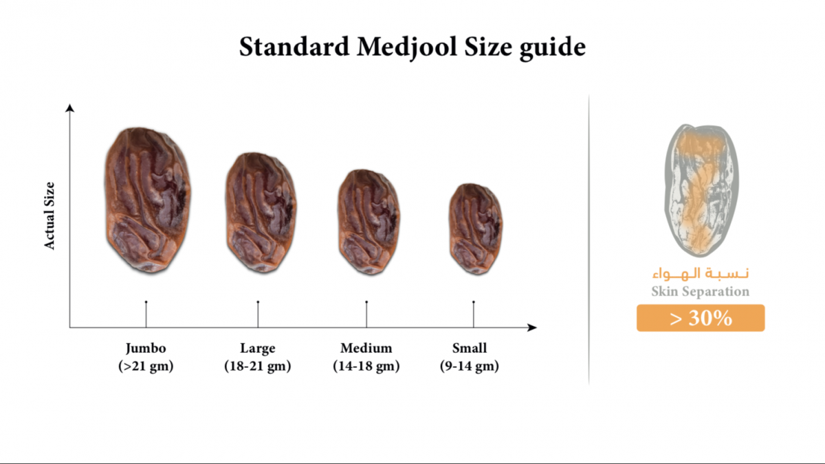 Standard Medjool Dates
