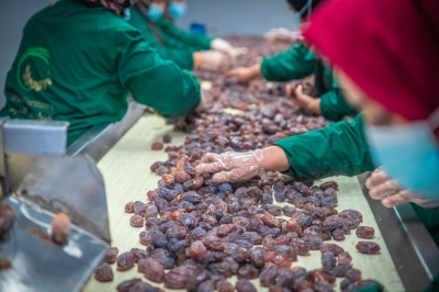 Preliminary Screening